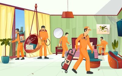 Benefits of Hiring Pest Control Services in Dubai