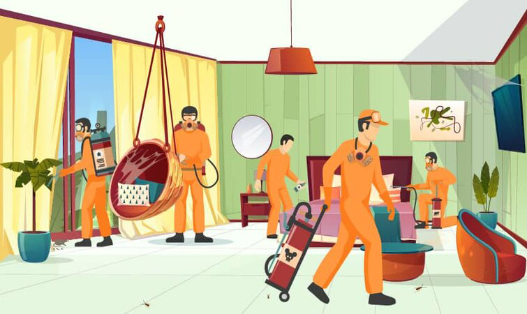 Benefits of Hiring Pest Control Services in Dubai